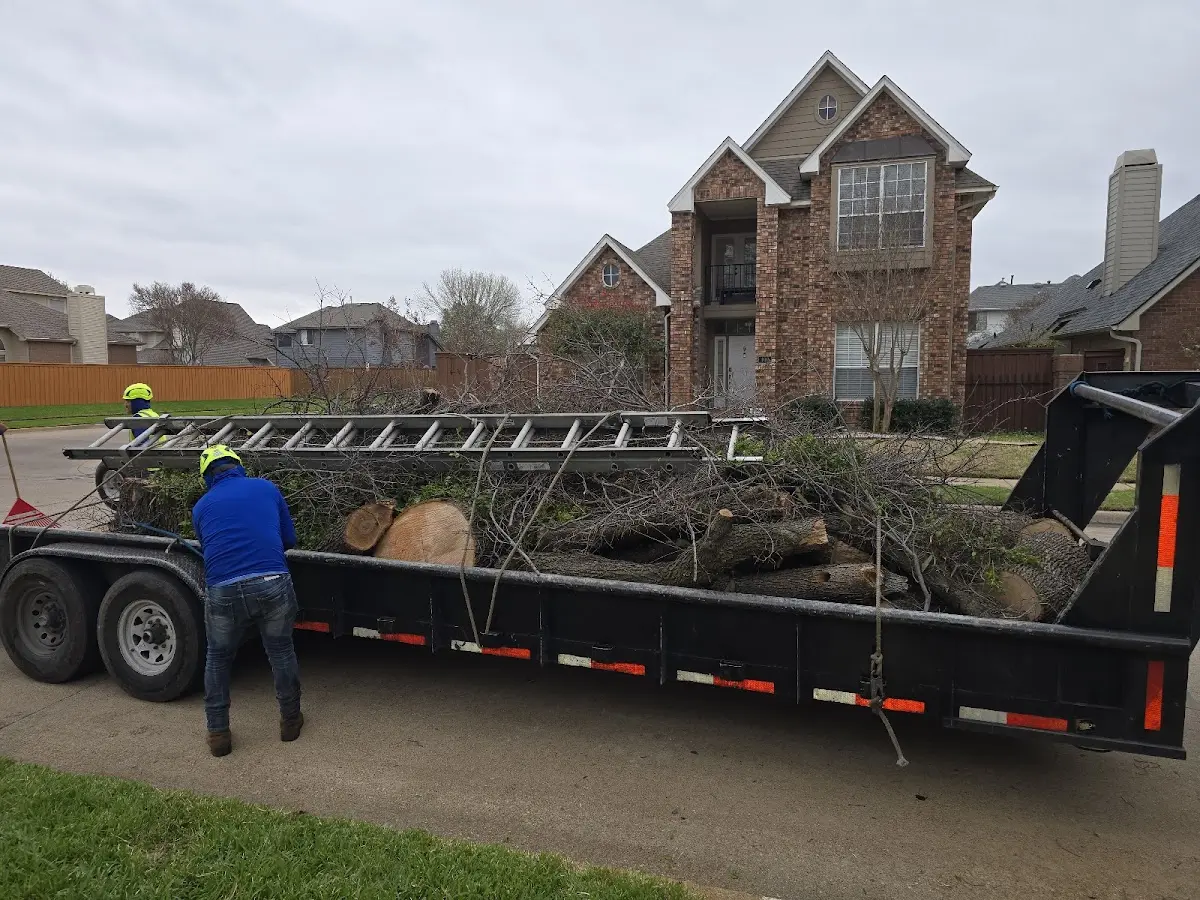 Expert Crown Reduction with proper safety equipment in Hillsdale